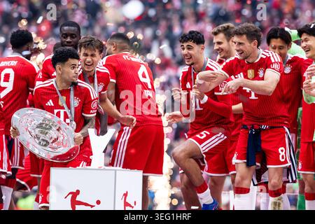 MÜNCHEN – 16. MAI: Luis Diaz (FC Bayern München, 14) wird von Aleksandar Pavlovic (FC Bayern München, 45) und Leon Goretzka (FC Bayern München, 8) gehänselt, weil er die Trophäe nach dem Bundesliga-Spiel zwischen dem FC Bayern München gegen 1. Der FC Köln in der Allianz Arena am Spieltag 34 des 1. Bundesliga am 16. Mai 2026 in München. DFL-VORSCHRIFTEN VERBIETEN DIE VERWENDUNG VON FOTOS ALS BILDSEQUENZEN UND/ODER QUASI-VIDEO. Stockfoto
