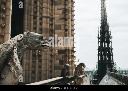 Fesselnder Blick auf einen Steingargoyle an der Fassade der Kathedrale Notre Dame, Paris. Die gotische Architektur und die komplizierten Entwürfe spiegeln die Reichen wider Stockfoto