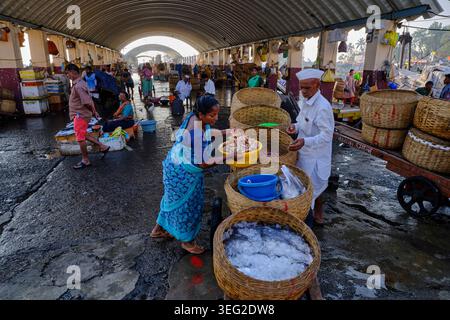 Indien, Maharashtra, Mumbai, Colaba District, Sassoon Docks, einer der größten Fischmärkte Mumbais Stockfoto