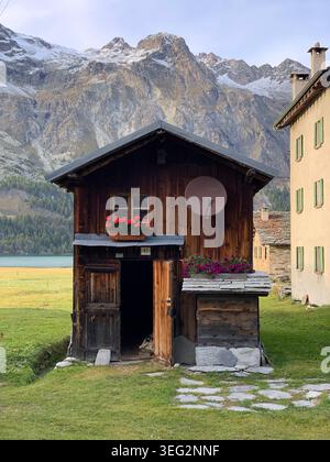 Herbst in Isola bei Sils Maria am Silser See, mit friedlicher alpiner Landschaft, saisonalen Farben und der Schönheit des Engadins im Oktober. Stockfoto