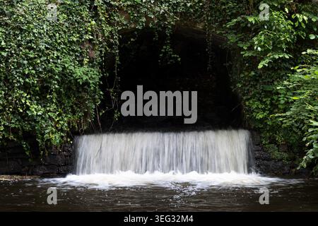 Kleiner Wasserfall, der durch ein bewaldetes Naturschutzgebiet in Vannes, Bretagne, Frankreich fließt. Stockfoto