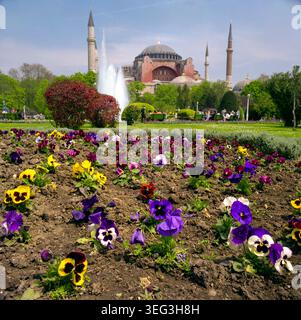 Hagia Sophia, Istambul, Türkiye Stockfoto