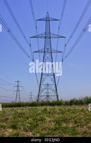 Strompylon und Freileitungen in der Nähe des Black Devon Wetlands Nature Reserve, Clackmannanshire, Schottland, in einem symmetrischen künstlerischen Stil Stockfoto
