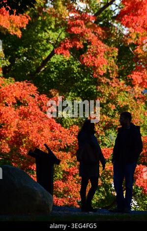 West Point, NY, USA 18. Oktober 2015 Ein junges Paar befindet sich in Silhouette vor brillantem Herbstlaub und bunten Blättern im United States Militar Stockfoto