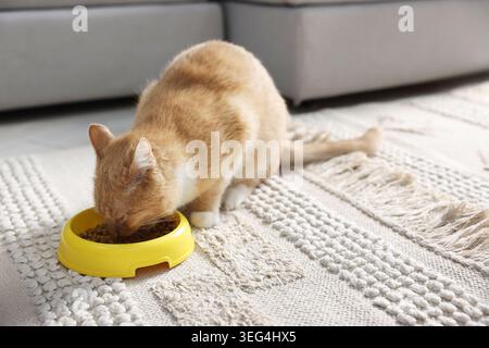 Süße Ingwerkatze, die von der Futterschale zu Hause isst, Platz für Text Stockfoto