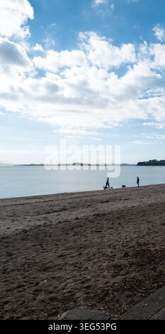 Breiter Sandstrand und ruhiges Meer unter klarem Himmel in Auckland, Neuseeland. Stockfoto