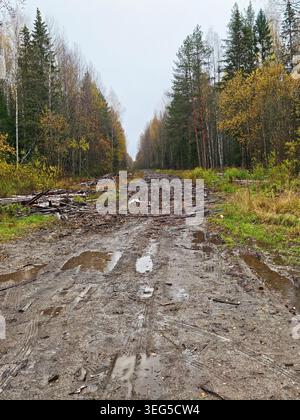 Eine schlammige Straße zieht sich durch einen Wald mit verstreuten Baumstämmen und Pfützen auf dem Boden, während im Herbst Bäume an beiden Seiten säumen. Stockfoto