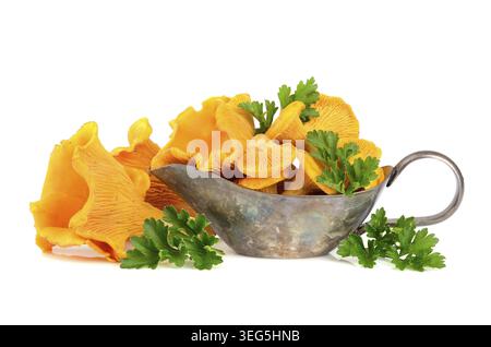 Pfifferlinge Pilze in silbernem Sauceboat mit grüner Petersilie isoliert auf weißem Hintergrund Stockfoto