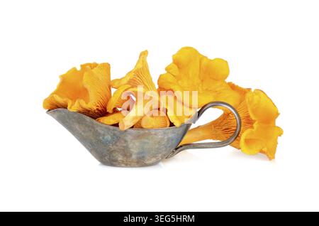 Gelbe Pfifferlinge Pilze in silbernem Sauceboat isoliert auf weißem Hintergrund Stockfoto