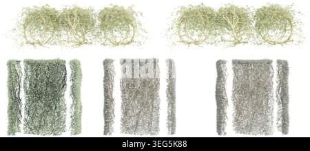 Satz von Blättern für Wände, die auf transparentem Hintergrund isoliert sind. 3D-Rendering Stock Vektor