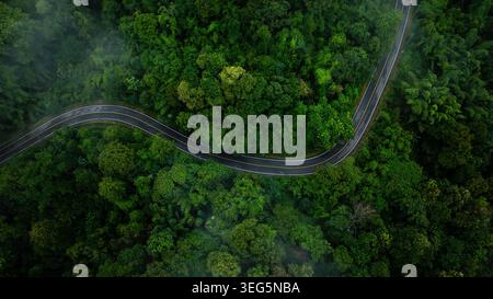 Ein Blick auf eine gekrümmte Asphaltstraße, die sich durch einen dicken tropischen Dschungel schlängelt, ideal für Reiseabenteuer und Infrastrukturkonzepte. Stockfoto