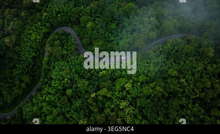 Blick auf ein weißes Auto, das auf einer Serpentinenstraße durch einen dichten, nebelbedeckten tropischen Wald fährt und somit Reisen und Erkundungen symbolisiert. Stockfoto