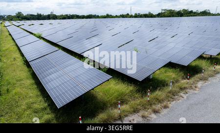 Reihen von Photovoltaik-Modulen, die für die Erzeugung erneuerbarer Energien installiert sind und die nachhaltige Energieinfrastruktur in einem grasbewachsenen Feld hervorheben. Stockfoto