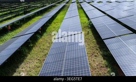 Eine Luftaufnahme umfangreicher Solarpaneel-Arrays in einem grünen Feld, die saubere Energieinfrastruktur und nachhaltige Stromerzeugung darstellen. Stockfoto