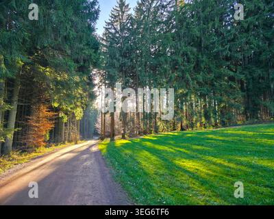 Deutschland, Bergwanderweg neben Schwarzwaldbäumen mit landschaftlichem Panorama mit Sonnenstrahlen, die durch die Äste in magischer A leuchten Stockfoto