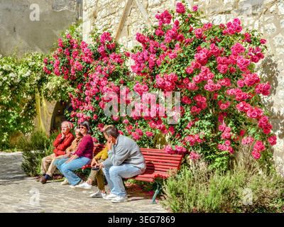 Die roten Rosen in voller Blüte im Carroir du Centre - Beaulieu-les-Loches, Indre-et-Loire (37), Frankreich. Stockfoto