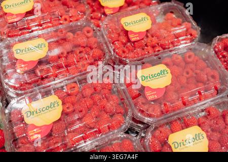 Bad Hersfeld, Deutschland, 04.29.2026: Frische, reife Himbeeren verpackt in transparenten Kunststoffbehältern im Lebensmittelgeschäft. Gesunde Beeren und Sommer Stockfoto