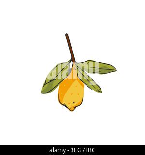 Hand gezeichnete abstrakte Vektor-grafische Illustration Sammlung mit stilisierter Zitronenzweig Frucht im Zeichentrickstil. Trendy modernes saftiges Frucht-Design Stock Vektor