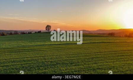 Panoramablick auf die Silhouette des Baumes am Horizont Stockfoto
