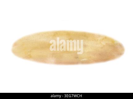 Ein abstraktes, handgemaltes Aquarellhintergrund mit weichem goldenem Sand oder beigefarbener Textur. Geformt in einem glatten ovalen Fleck auf einem isolierten Stockfoto