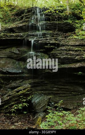 Kleiner Wasserfall an den Fall Hollow Falls entlang der Natchez Trace in Tennessee, der über moosbedeckte Felsen in einer üppigen Waldlandschaft fließt Stockfoto