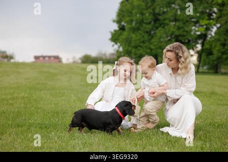 Eine fröhliche Familie genießt eine schöne Zeit in einem üppigen grünen Feld, in der sie mit ihrem verspielten Hund interagiert, perfekt für Muttertagsaktionen oder familienorientierte Aktionen Stockfoto