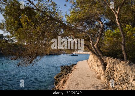 Malerischer Küstenpfad in Cala Mondrago, Mallorca Stockfoto