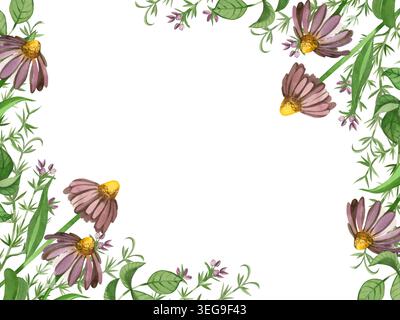 Aquarellrahmen mit Echinacea- und Wiesenoregano-Blüten, Blättern. Alles ist handbemalt in Aquarell. Zum Verpacken von Kräutertee oder Stockfoto