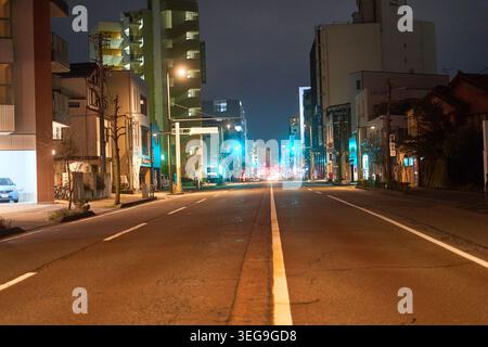 Nachtansicht einer leeren städtischen Straße in Japan, beleuchtet von Straßenlaternen und Verkehrssignalen. Die Asphaltstraße mit weißen Fahrbahnmarkierungen erstreckt sich Stockfoto
