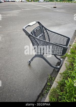Verlassener grauer Einkaufswagen, der auf nassem Asphalt auf einem leeren Parkplatz in der Nähe von bewachsenen Bordsteinkanten allein steht, symbolisiert städtische Isolation und Konsummüll. Stockfoto
