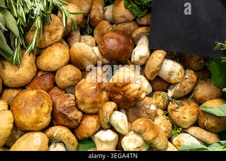 Frische Pilze zum Verkauf an einem Marktstand mit Preisschild. Stockfoto