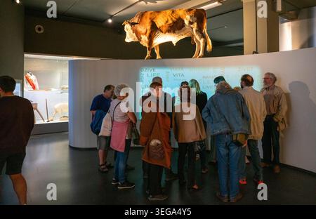 Prag, Tschechische Republik. Mai 2026. Besucher besuchen das Nationalmuseum für Landwirtschaft in Prag, Tschechische Republik, 18. Mai 2026. Das Museum wurde für die Öffentlichkeit kostenlos geöffnet und hielt am Montag eine Reihe von Veranstaltungen ab, um den Internationalen Museumstag zu feiern. Quelle: Dana Kesnerova/Xinhua/Alamy Live News Stockfoto