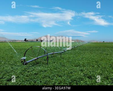 Großes Bewässerungssystem auf Alfalfa Farm mit Berghintergrund Stockfoto