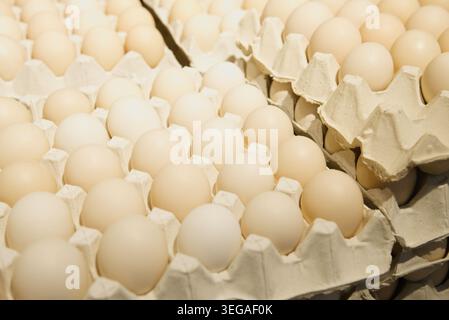Reihen frischer Weißer Eier in Kartonagen Stockfoto