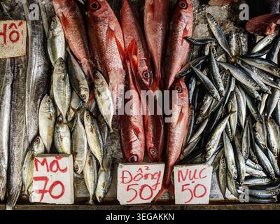 Frischer Fisch zum Verkauf, Vielfalt an bunten lokalen Fischen auf einem Straßenmarkt in Vietnam. Stockfoto
