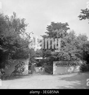 Sloviansk, 1983, Slavkurort. Ein großer Blick auf die Haupteingänge zum Pionierlager Vishnegorsk, das sich im Besitz der Artem Armature-Isolator-Anlage befindet. Der Betonzaun zeigt ein gemaltes Wandbild junger Pioniere und große Metallbuchstaben, die den Namen des Lagers zeigen, eingerahmt von dichten grünen Bäumen unter einem hellen Sommerhimmel. Ein historisches Schwarzweiß-Archivfoto, das die authentische Atmosphäre der Epoche, die Außenarchitektur des Jugendresorts und den friedlichen Donbass feststellt. Stockfoto