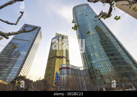 Shanghai, China. Januar 2025. Panoramablick auf moderne Wolkenkratzer im Stadtzentrum Stockfoto