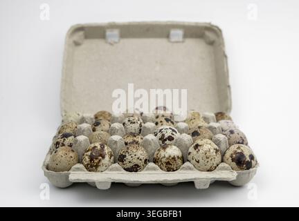 Die Eier der Wachteln (Coturnix coturnix) auf weißem Hintergrund Stockfoto