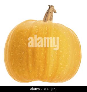 Orangefarbener runder Kürbis isoliert auf weißem Hintergrund Stockfoto