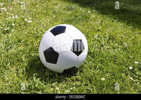 Nahaufnahme eines klassischen Fußballballs aus Leder, der auf einem grünen Grasfeld mit kleinen weißen Blumen liegt Stockfoto