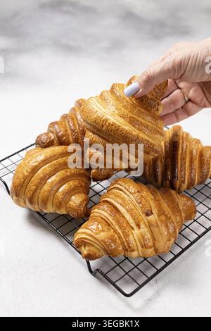 Die Frauenhand mit hellvioletten Nägeln hebt ein frisch gebackenes, goldbraunes Croissant aus einem Kühlregal aus schwarzem Draht auf einem weichen grauen strukturierten Backgr Stockfoto