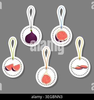 Illustration zum Thema Obst aus Set saftige köstliche Feige in verschiedenen Größen, Fruchtfeige bestehend aus saftigen Bio-Lebensmitteln, Sammelfeige in saftigen Früchten f Stock Vektor