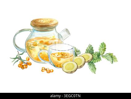 Sanddorntee in einer Teekanne und Tasse mit Minzblättern, Beeren und Ingwerwurzel. Hand gezeichnete Aquarellillustration des gesunden Getränks, isoliert Stockfoto