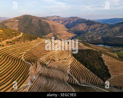 Blick aus der Vogelperspektive auf eine Flussbiegung, umgeben von terrassenförmig angelegten Weinbergen in Portugal, mit detailliertem landwirtschaftlichen Layout und malerischem bergigem Gelände. Stockfoto