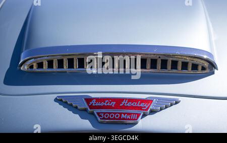 Austin Healey 3000 MkIII Motorhaubenabzeichen und verchromte Lüftungsschlitze an blassblauer Karosserie Stockfoto