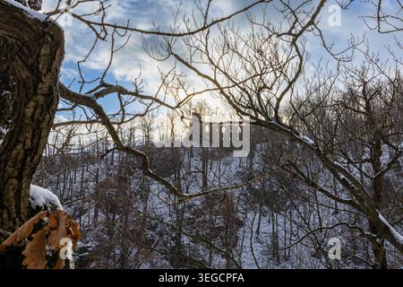 Winterlandschaft mit alten Burgruinen auf einem schneebedeckten Hügel hinter Baumästen. Stockfoto