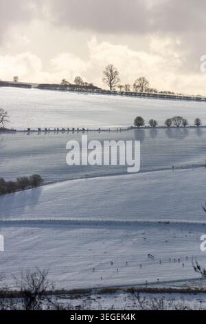 Schneebedeckte Landschaft in Shropshire, England Stockfoto