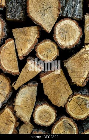 Trocken gehacktes Brennholz aus Eiche. Hintergrund Stockfoto