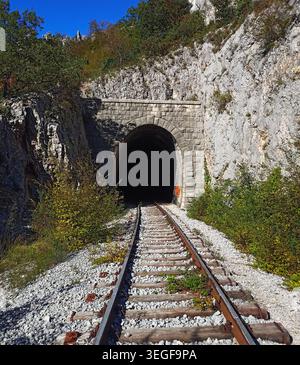 Perspektivische Aussicht durch einen alten Eisenbahntunnel aus dunklem Stein, der in rauen Berggestein geschnitten ist. Stockfoto
