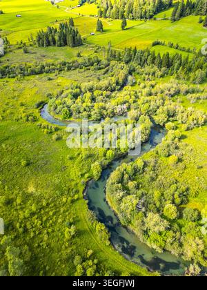 Ein lebhafter Fluss schlängelt sich durch ein üppiges grünes Tal in den Alpen und bietet einen idyllischen Blick auf die Schönheit der Natur. Stockfoto